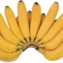 그레이스 키친 이미지