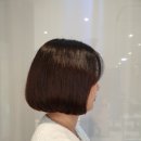 홍스타일 - 가평군 | 홍스타일