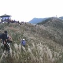 장곡목장 이미지