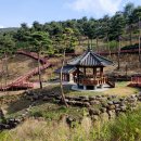 산청 동의보감촌 이미지