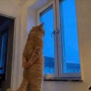 WR(서울특별시 마포구)-[월드컵로]-하-61 | 열네번째