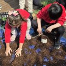 지니어스유치원 이미지