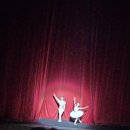 동화속 발레갈라콘서트 영도, 발레에 빠지다 호두까기 인형 | 동화 속 세계에 푹 빠지다