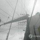 강정동-39 이미지