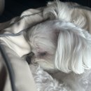 거니는집 이미지