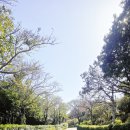 천제연폭포 | [3월 제주도] 천제연폭포 후기 및 회포장 추천집