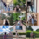 오늘 뭐입지? <b>코코</b><b>블랙</b> 서포터즈 미시의류 OOTD