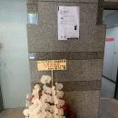오사카 일본어학교 2026년 1월 단기 / 4월 장,단기 모집 중 ! 이미지