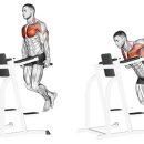 고짐(GO GYM) 이미지