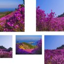 대금산주유소 이미지