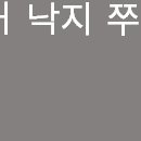 수정낙지골 이미지