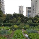 지웅농장 이미지