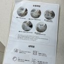 알까네 펫드라이브 | 강아지 카시트 추천] 차에서도 집에서도 활용도 만점! 멀미 걱정 없는 펫테일 카시트 7kg 비숑 실사용 후기