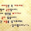 제주 마로 이미지