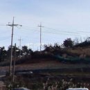 화정면사무소 이미지