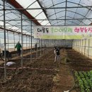 행복농장 이미지