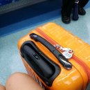 울산진산면세점 | 『세부여행후기』부산 김해공항에서 세부퍼시픽항공으로 세부여행하기^^