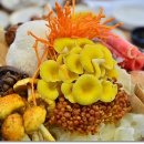 단골식당 이미지