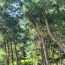 대모산 칼국수 이미지