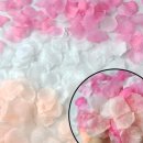 티아라헤어살롱 | [헤어변형] 윤쌀롱 계약