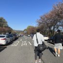 대청3세천 이미지