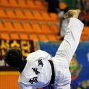 정선태권도체육관 이미지