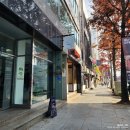 오하이오 | 대구 카페 오하이오 솔직후기, 동성로 감성 카페