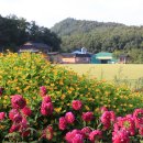 大邱 東大寺(대구 동대사) ＜대구광역시 수성구 달구벌대로541길＞ 13/09/20 이미지