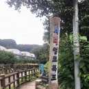 엉또김밥 이미지