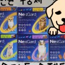 정자역약국 이미지