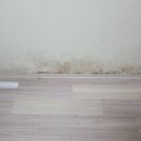 서울데코