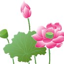 계림사