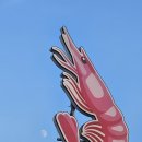 부산역광장 디지털 사이니지 앞 | 2025-11