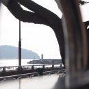 동부초등학교율포분교장 이미지