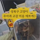 봄동살롱 이미지
