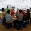 병만농장 이미지