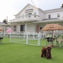 스카이N스파펜션 이미지