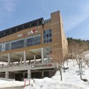 주식회사 대관령순수양떼목장 | 대관령 순수양떼목장, 라마다 호텔 근처 양떼목장 이용 시간 및 솔직 후기!