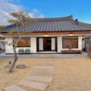 석류애견 이미지