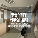 사파동100 이미지