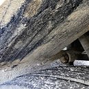 정일파크 이미지