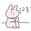 다시 시작하는 영어공부(초급) 이미지