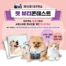 뷰티펫 이미지