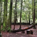 오고생이 이미지