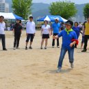 석화초등학교 Daum카페