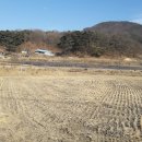 태양부동산중개사무소 이미지