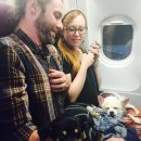 개와고양이 반려동물원 이미지