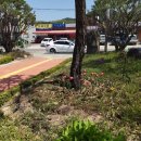 쌍림면사무소 이미지