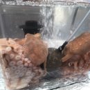 광장69호 이미지