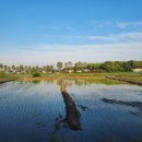 황토현마을 이미지